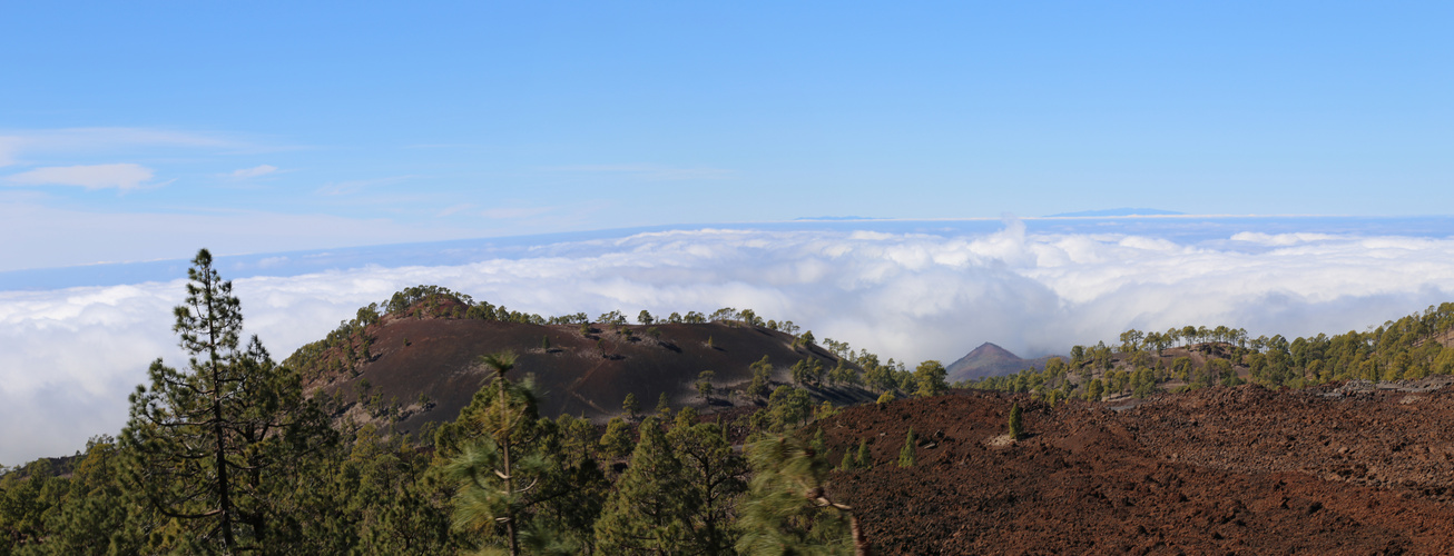 Tenerife Oben Sonne unten Nebel