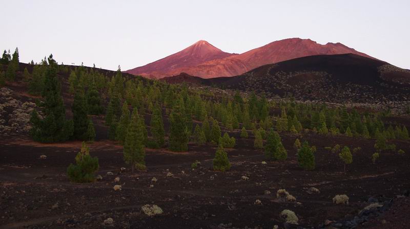 Tenerife oct 2001 Teide-Volcano "Alpenglühen"