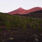 Tenerife oct 2001 Teide-Volcano "Alpenglühen"