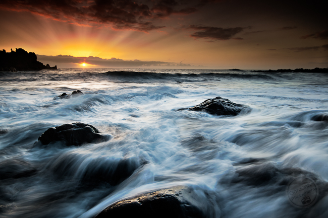 Tenerife Sunbeam