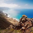 Tenerife - Tangana