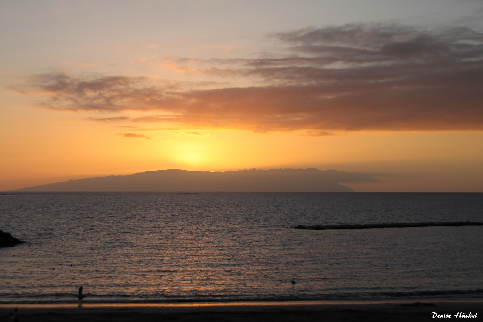 Tenerife Torviscas