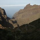 Tenerife - Unterwegs nach Masca