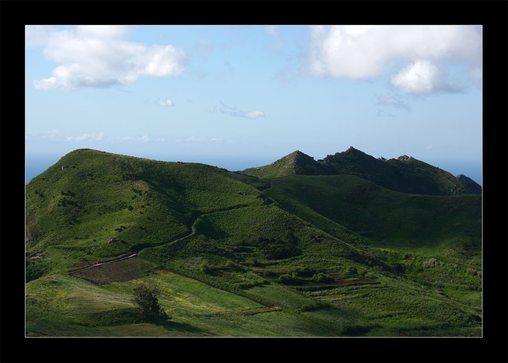 ...Tenerife verde...