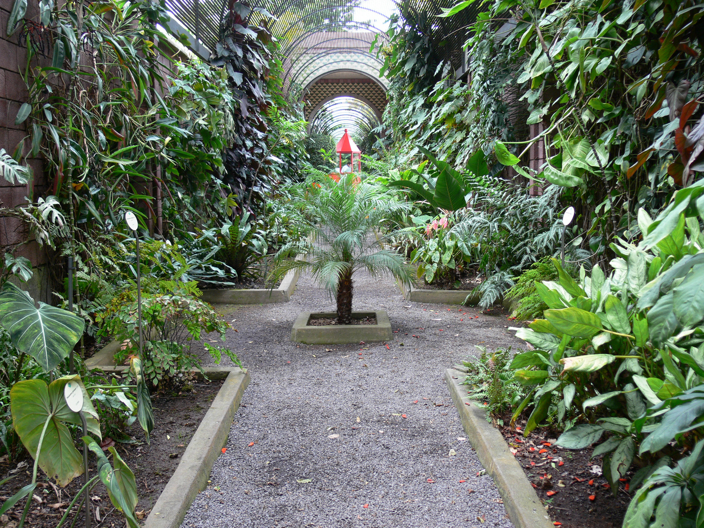 Teneriffa 2007 - Jardin Botanico