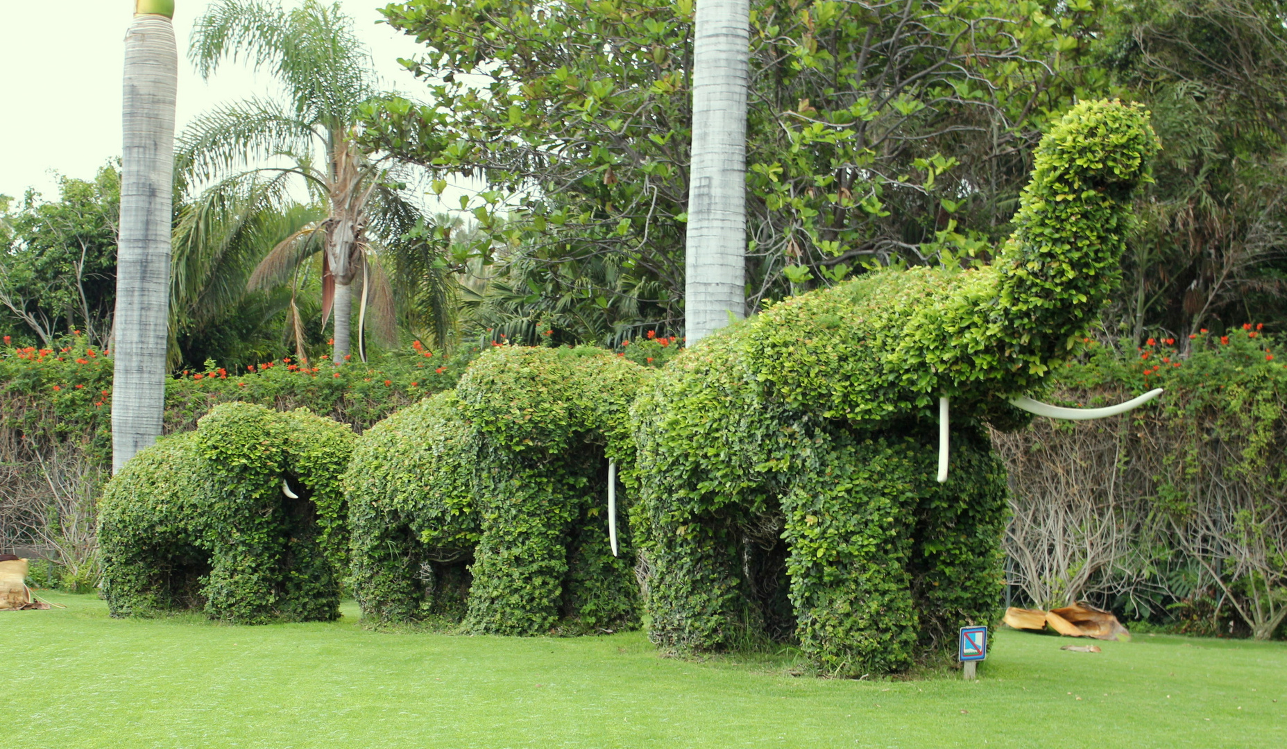 Teneriffa 2011 - Gartenanlage im Loro Park