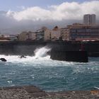 Teneriffa 2014 - Puerto de la Cruz