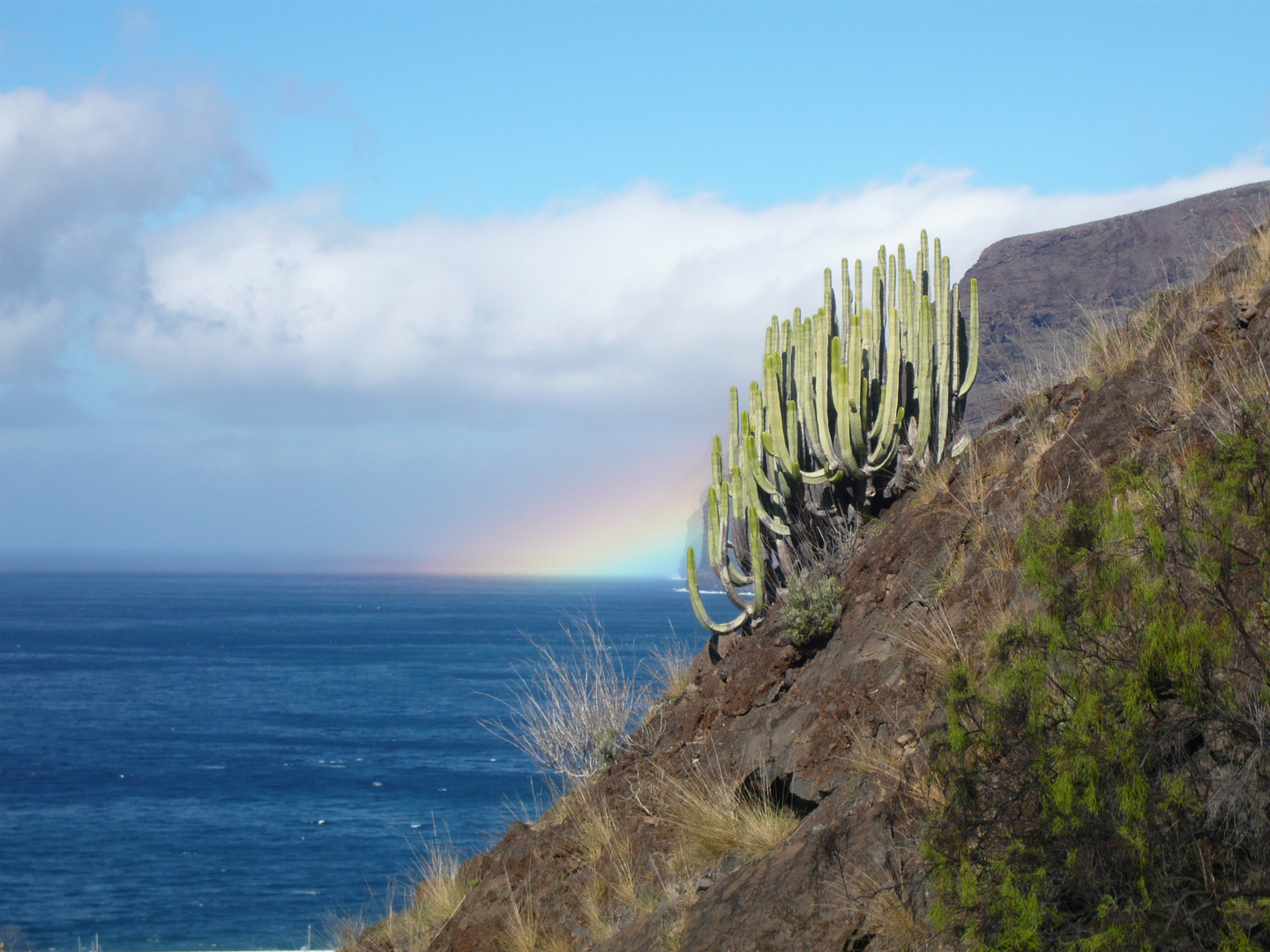 Teneriffa 6 - Los Gigantes