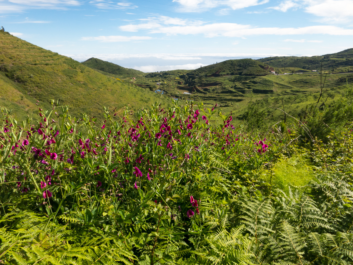 Teneriffa Berglandschaft