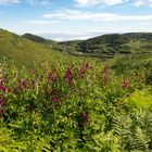 Teneriffa Berglandschaft