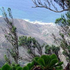 Teneriffa Blick vom Chimbocho