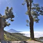 Teneriffa- Blick zum Teide