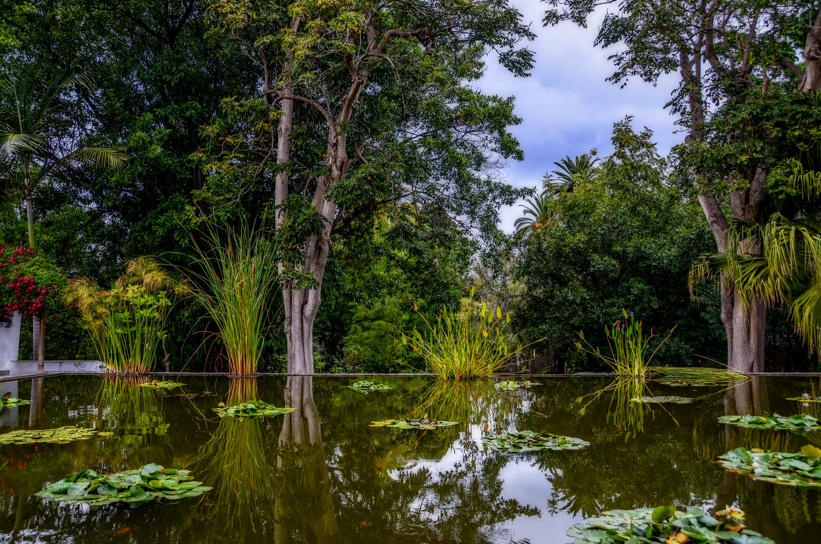 Teneriffa Botanischer Garten 2