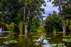 Teneriffa Botanischer Garten 2