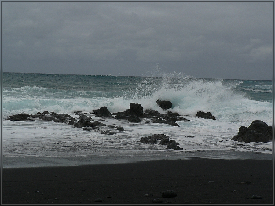 Teneriffa Dezember 2008 - Meer Teil II