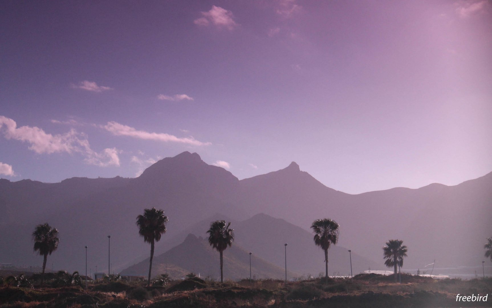 Teneriffa durch die Sonnenbrille