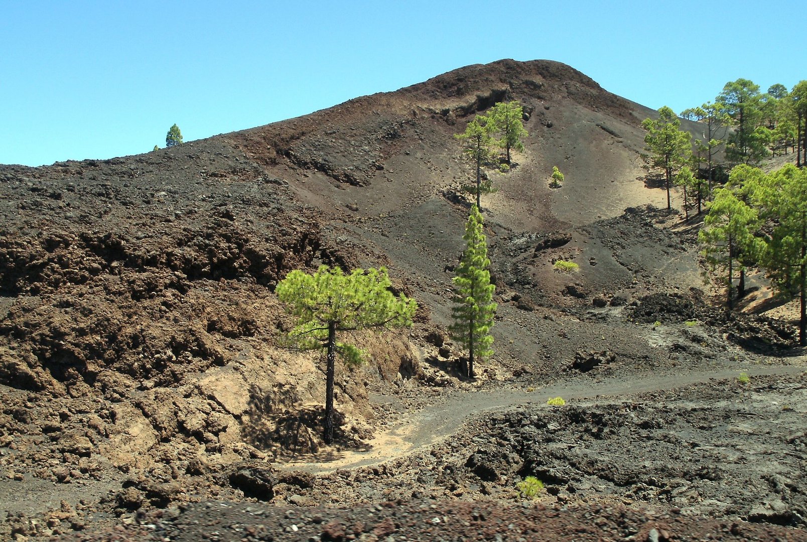 Teneriffa - El Teide - 02