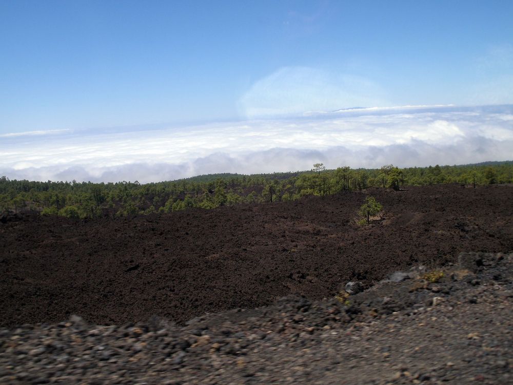 Teneriffa - El Teide - 03