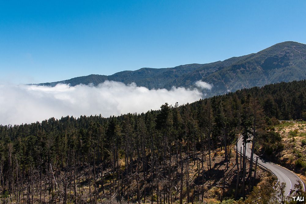 Teneriffa El Teide I