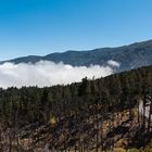 Teneriffa El Teide I