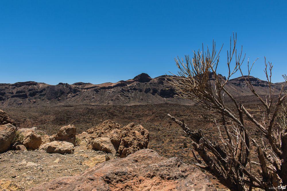 Teneriffa El Teide III