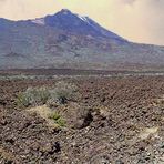 Teneriffa - in der Caldera, inmitten von Lavafeldern