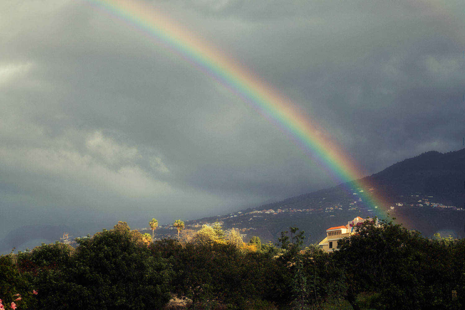 Teneriffa---nach-dem-Regen