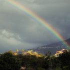 Teneriffa---nach-dem-Regen