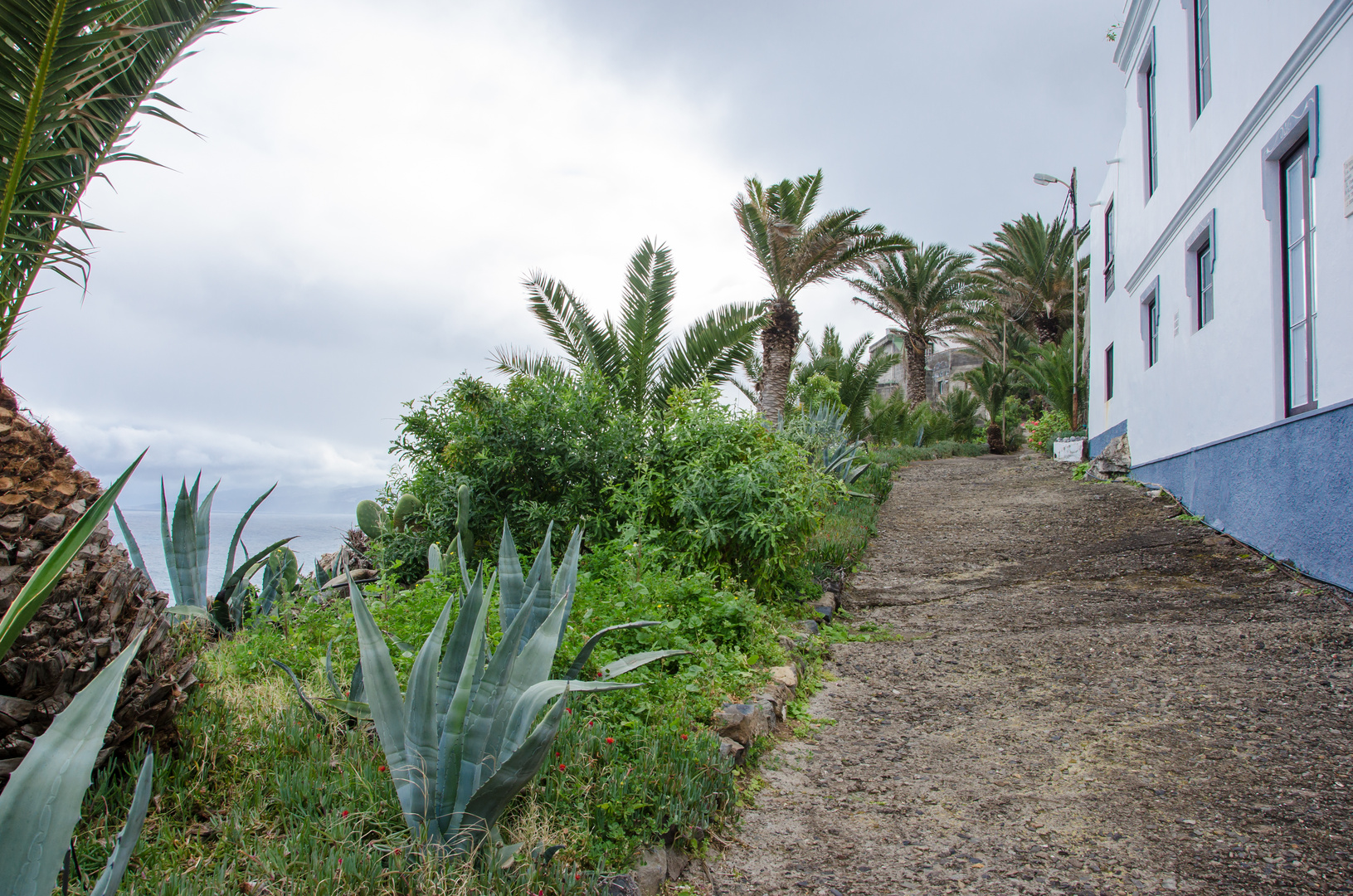 Teneriffa - Nordwesten