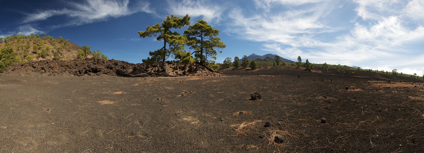 Teneriffa-Okt.2016-A.004