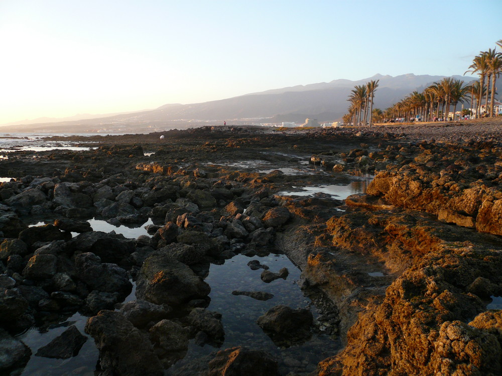 Teneriffa/ Playa de las Americas