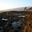 Teneriffa/ Playa de las Americas