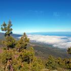 Teneriffa, Puerto De La Cruz, La Orotava....