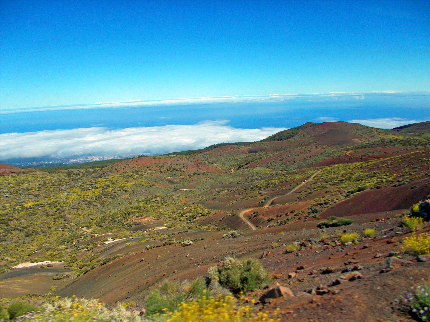 Teneriffa, safarii...