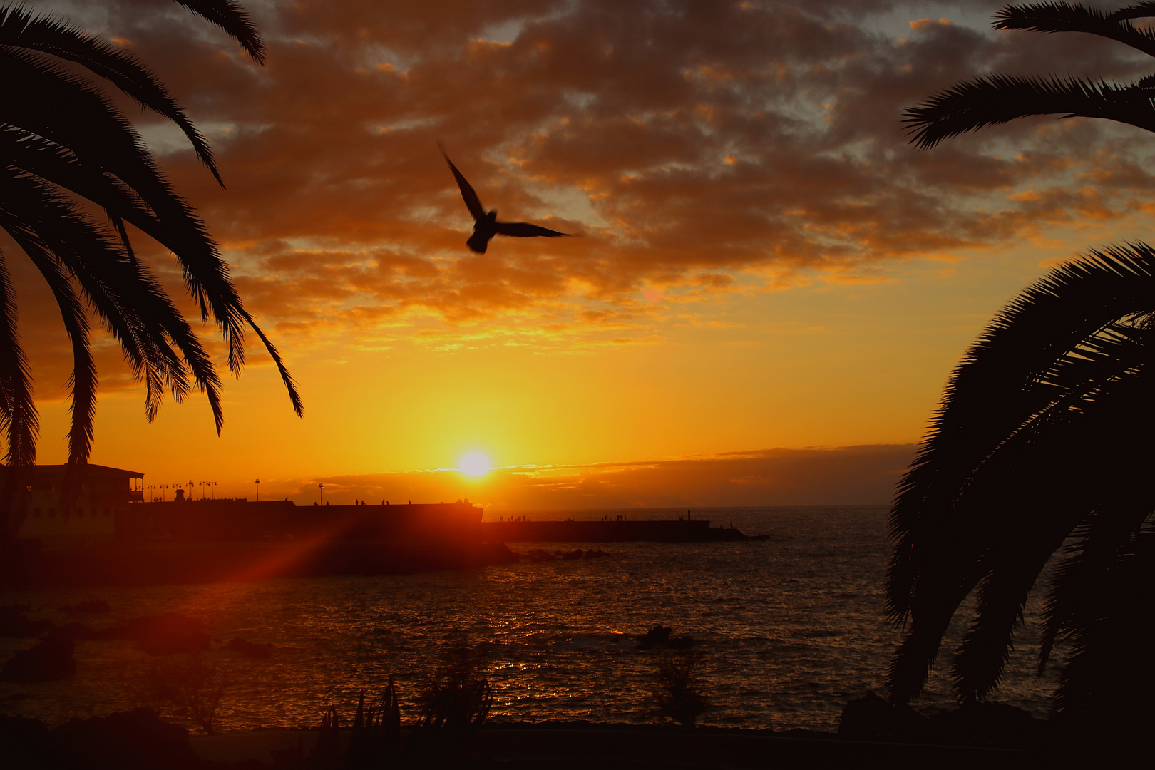 Teneriffa  sundown