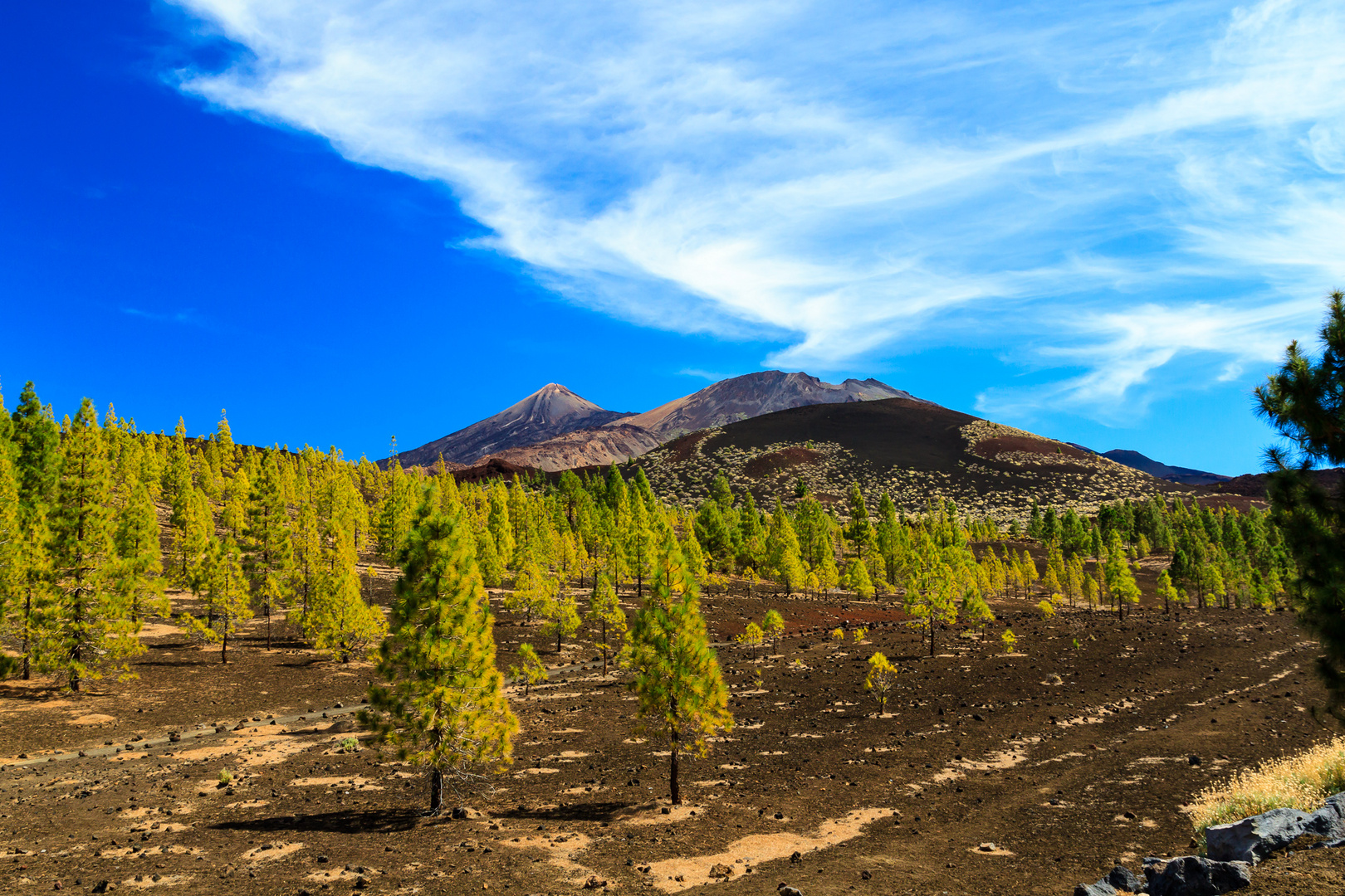 Teneriffa/ Teide National Park