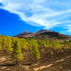 Teneriffa/ Teide National Park