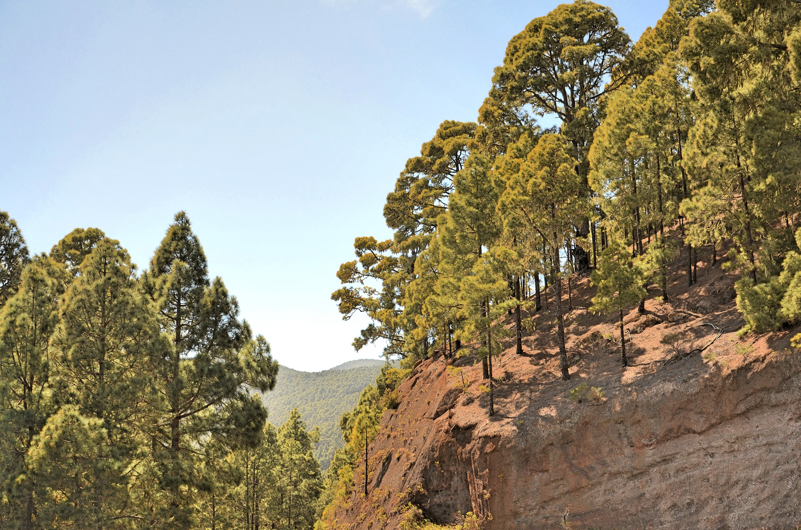 Teneriffa - Teide Nationalpark