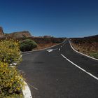 Teneriffa - Teide Nationalpark 2