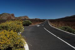 Teneriffa - Teide Nationalpark 2