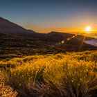 Teneriffa Teide-Rauke 1