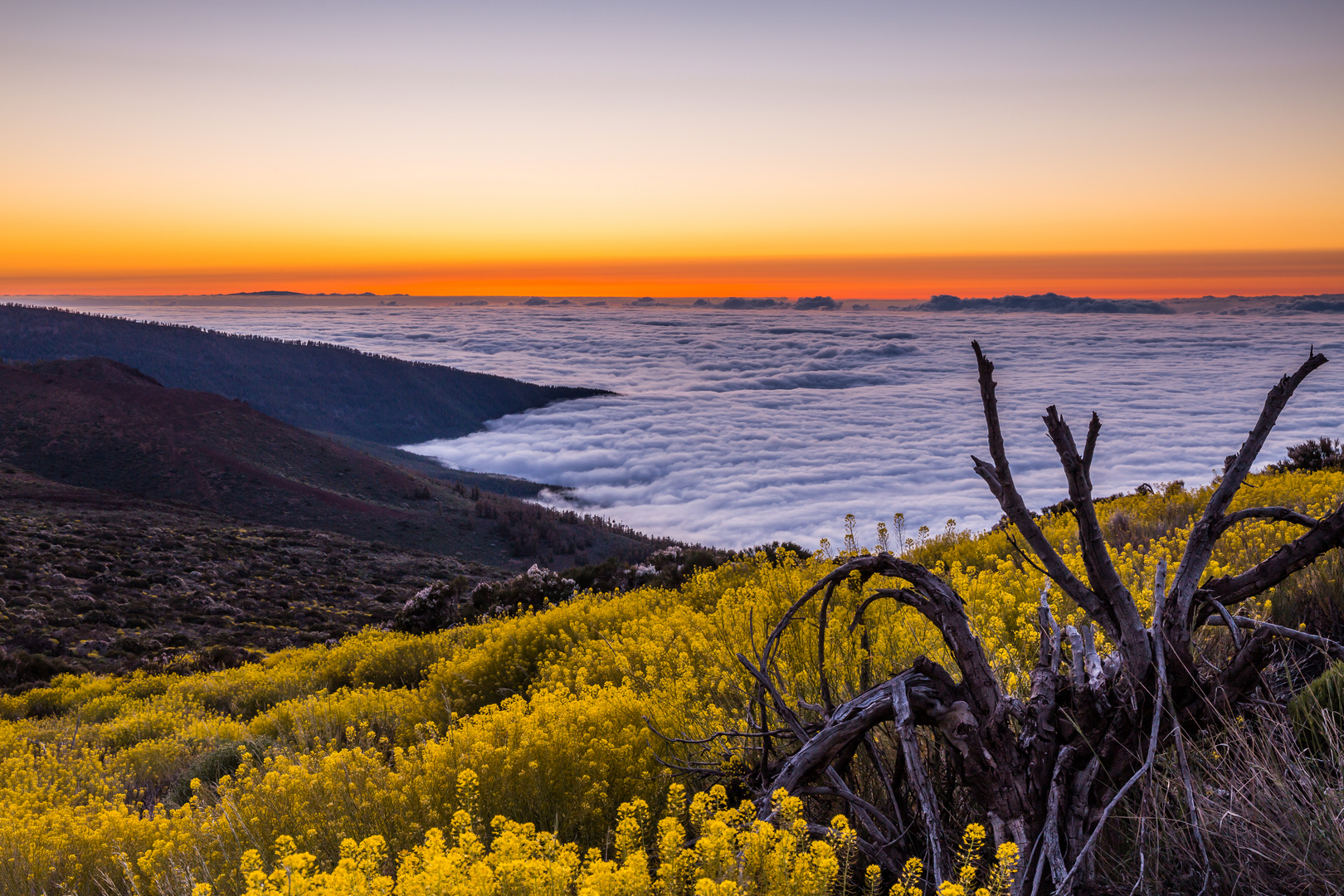 Teneriffa Teide-Rauke 3