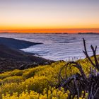 Teneriffa Teide-Rauke 3