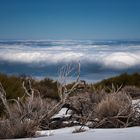 Teneriffa - Teide über den Wolken 