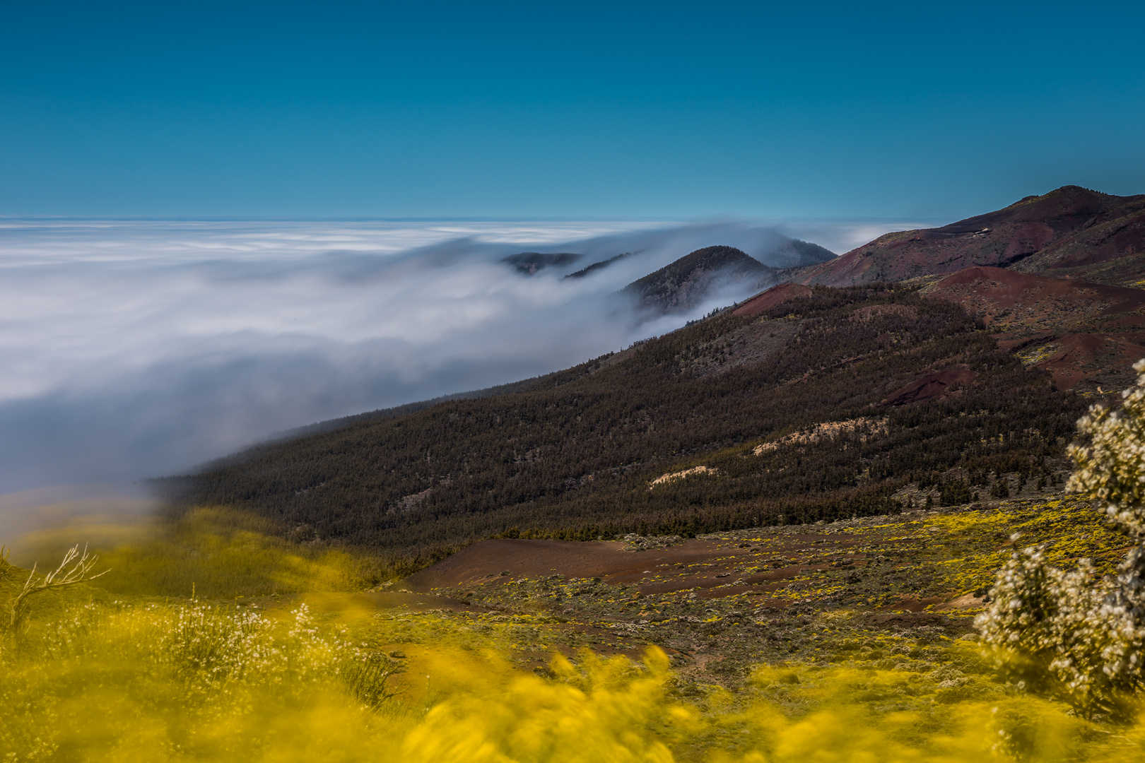 Teneriffa Wolkenmeer 2