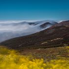 Teneriffa Wolkenmeer 2