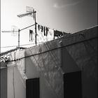 Teneriffa_161102_0927_Orig-2