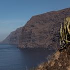 Teneriffa/Acantilados de los Gigantes