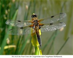 Tengelmann-Kalender-Bild