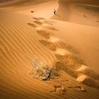 Tengger Desert  -  China (2021)